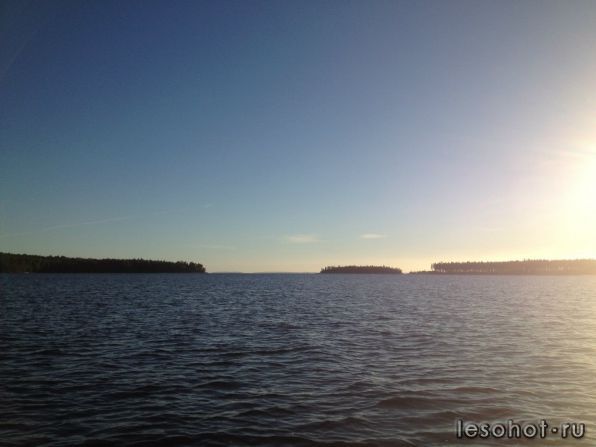 photo_00074.jpg