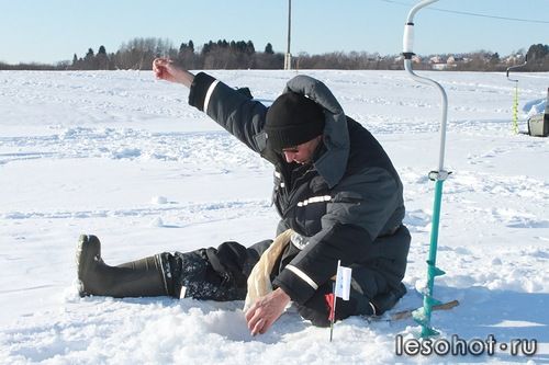 0_98748_6c39adcd_L.jpeg