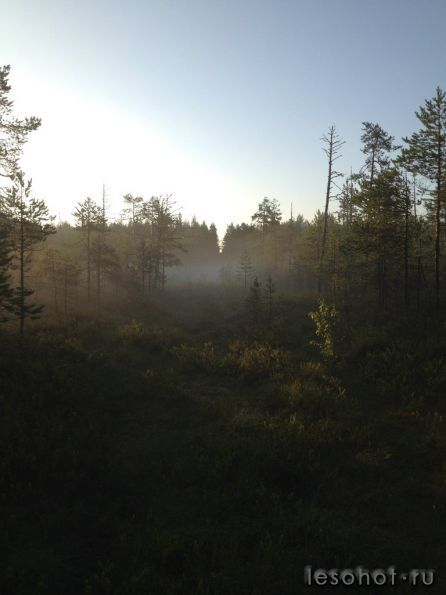 photo_00067.jpg