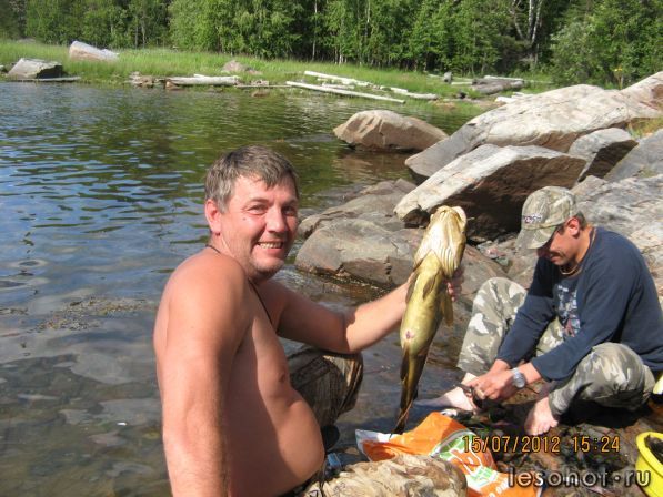 Фото без названия