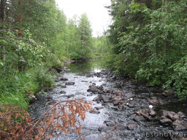 IMG_0265.jpg