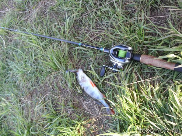 �������� ������� 28.05.2017