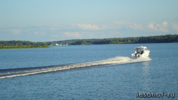 DSC05847.JPG