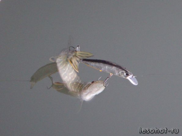 ����� 18.09.14 (15).JPG1.JPG