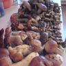 DSC01432.JPG