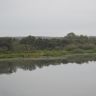 _DSC0121.JPG