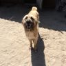 DSC01825.JPG