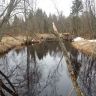 20140325_170000.jpg
