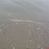 DSC02220.JPG