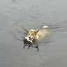 DSC00174.JPG