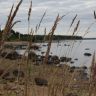 IMG_3533.JPG
