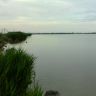 IMG_20140617_070826.jpg
