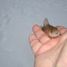DSC02999.JPG