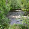 DSC02919.JPG