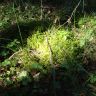 DSC01726.JPG