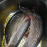 DSCN4973.JPG
