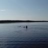 IMG_20140806_170656.jpg