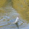 DSCN0919.JPG