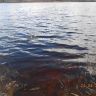 DSCN4938.JPG
