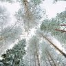 YxBMpDEFS-8.jpg