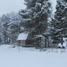 IMG_8858.JPG