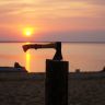 DSC07723.JPG