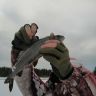 photo_00271.jpg