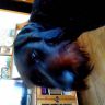 IMG_20141024_133251.jpg
