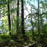 DSC02593.JPG