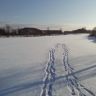 IMG_20140118_135155.jpg