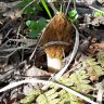 20180509_091215.jpg