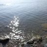 DSC00167.JPG