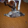 DSCN2502.JPG
