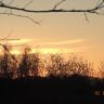 DSCN0251.JPG