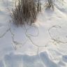 2013-01-12-1312.jpg