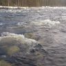 photo_00380.jpg
