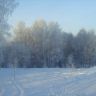 SDC19368.JPG