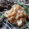 20180509_073710.jpg
