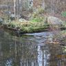 IMG_0115.JPG