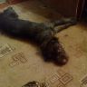 07052012035.jpg