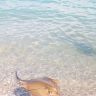 IMG_20150819_091922.jpg