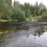 DSC02921.JPG