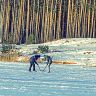 _DSC2979.jpg