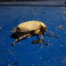 DSC01882.JPG