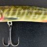 Jaguan Pike