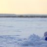 IMG_1217.JPG