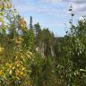 DSC03011.JPG