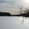 photo_00369.jpg