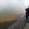 IMG_20140830_173537.jpg