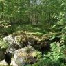 DSC03669.JPG